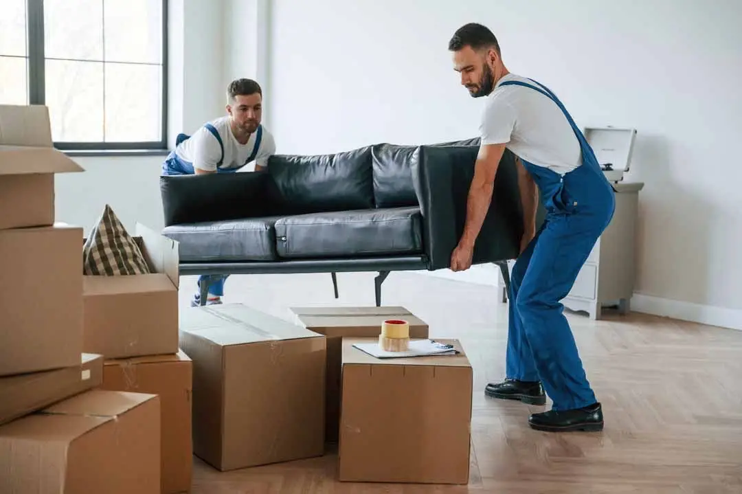 House Removals in croydon